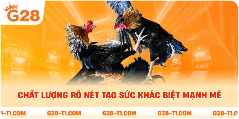 Chất lượng rõ nét tạo sức khác biệt mạnh mẽ